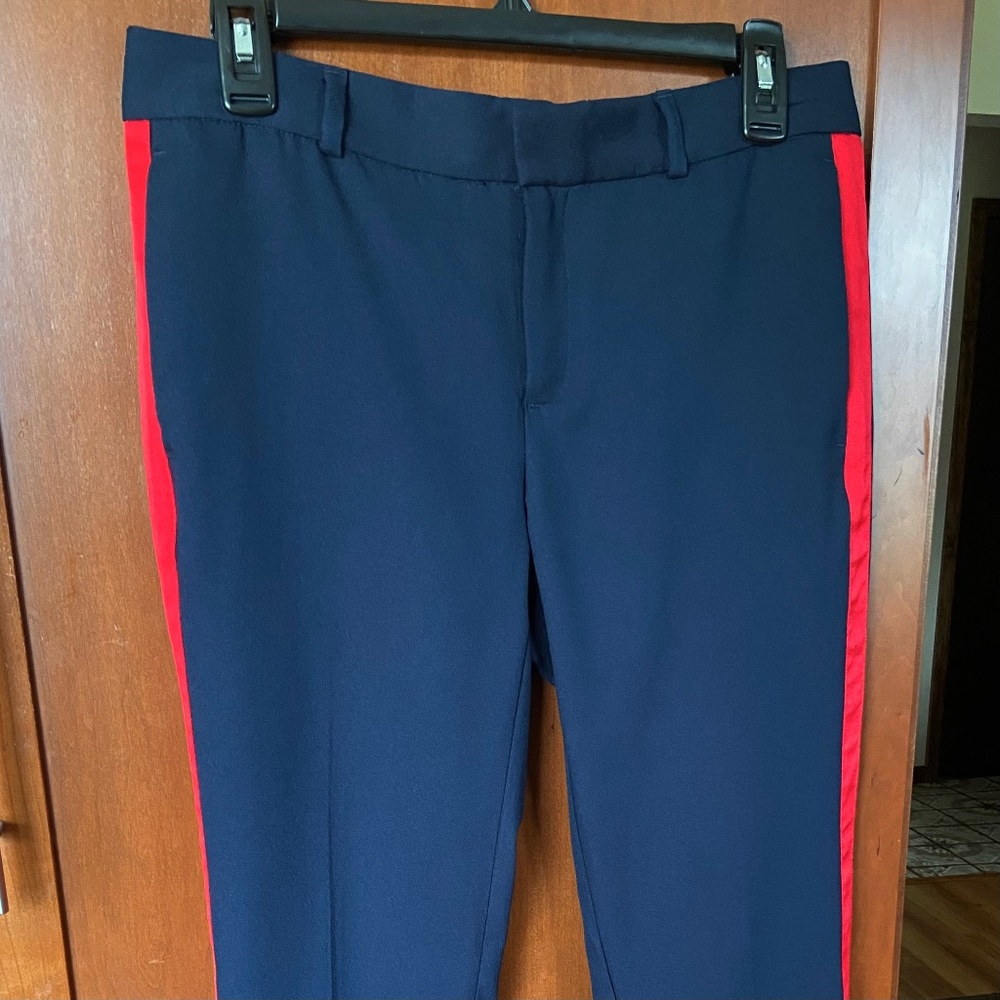 Banana Republic Avery Pants Navy w/Stripe